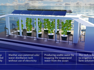 UAE transforms coastal areas into floating farms