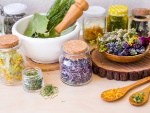 Herbs