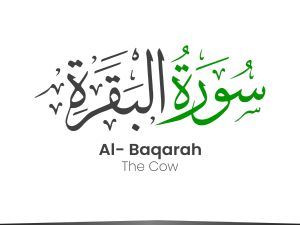 أسرار سورة البقرة كاسحة الأحزان