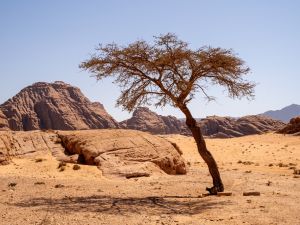 4.0 magnitude earthquake strikes Jordan’s Aqaba area