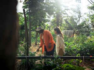 Kia Expands “Cycle of Life: Seeds of Change” Project from GCC to Africa