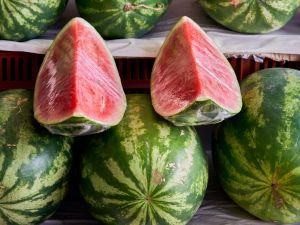انتبه لهذه الأسرار قبل شراء البطيخ