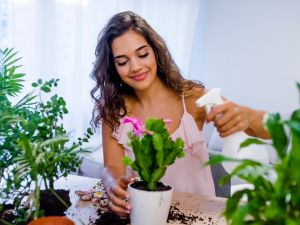 طرق دمج النباتات الصناعية في التصميم الداخلي