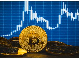 أسعار العملات المشفرة مقابل الدولار اليوم الإثنين 14 أبريل 2025,المصدر shutterstock