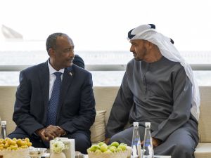 UAE foils Sudan arms deal amid ICJ fallout