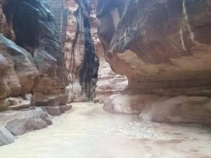 البترا