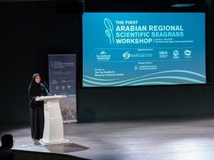 "مركز ياس سي وورلد للبحوث والإنقاذ" و "هيئة البيئة-أبوظبي" ينظمان ورشة علمية متخصصة لاستكشاف دور الأعشاب البحرية في استدامة النظم البيئة البحرية
