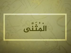 معنى اسم المثنى وصفاته