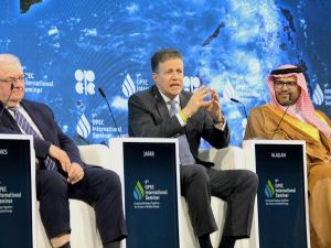 $4.3 trillion investment needed by 2030 to sustain global gas demand, Crescent Petroleum CEO tells OPEC leaders