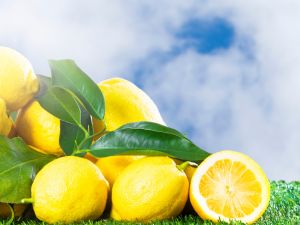 تفسير رؤية الليمون الأصفر في المنام للنابلسي وابن سيرين