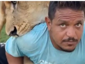 حبس ليبي أطلق أسده على أشخاص
