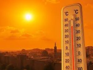 موجة حر قياسية بالأردن توقف العمل.. وتحوّل دوام الجامعات عن بُعد
