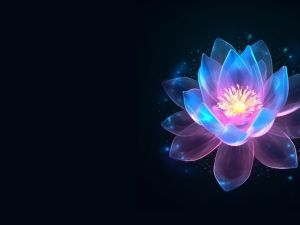 plants that glow in the dark