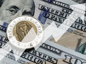 صندوق النقد والحكومة المصرية