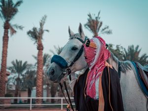 الديوان الملكي