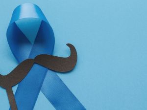 ما هو موفمبر؟ ومن أين جاءت التسمية؟