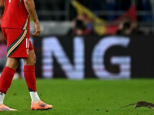 نجم ريال مدريد يفشل في الإمساك بـ"فأر" اقتحم الملعب في تصفيات كأس العالم