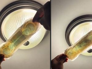 Mold and insects find inside new pads