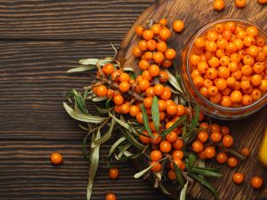 فاكهة النبق البحري