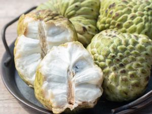 فوائد فاكهة القشطة للحامل في الشهور الأولى