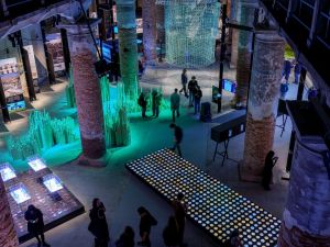 مؤسسة دبي للمستقبل تشارك في مشروع عالمي مبتكر لقياس أثر تبريد الأشجار في دبي وعدة مدن عالمية