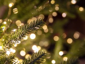 تفسير رؤية شجرة الكريسماس بدون زينة في المنام