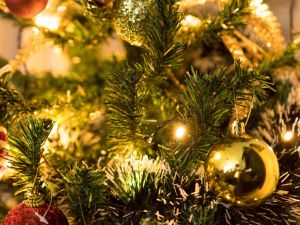 10 معلومات عن أصل شجرة الكريسماس
