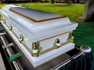  متداول في نيجيريا : 