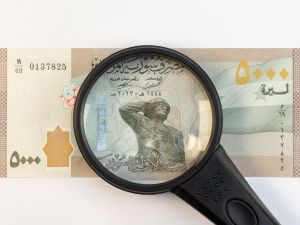 الدعم الكبير من المغتربين ساهم في تعزيز الاستقرار المالي وتحريك سعر الصرف