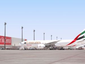 نقلت أكثر من 14600 حيواناً أليفاً من القطط والكلاب والحيوانات الأخرى العالم الحالي