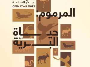 ‘Al Marmoom: The Living Wild’ Exhibition Celebrates Al Marmoom's Natural Wonders