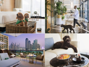 Marriott Resort Palm Jumeirah Launches ‘pawfect Stay on the Palm’ 