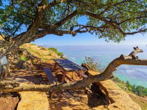 الأغوار الأردنية: وجهة مثالية للهدوء والمغامرة الشتوية