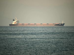 the Strait of Hormuz