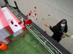 bloodthirsty network