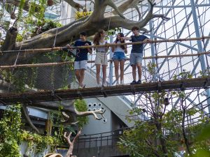 ذا جرين بلانيت دبي تطفئ أنوارها في ساعة الأرض دعماً لجهود حماية البيئة