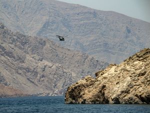  Hormuz shipping lane
