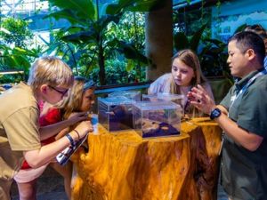 ذا جرين بلانيت دبي تحتفي بيوم الأرض وتدعو العائلات لإعادة التواصل مع الطبيعة عبر برنامجٍ حافل بالتجارب التفاعلية