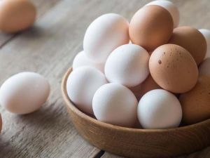 تفسير حلم جمع البيض الكثير من الأرض ابن سيرين
