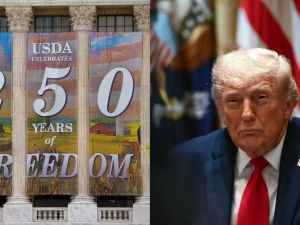 America 250