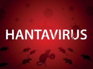 Hantavirus disease