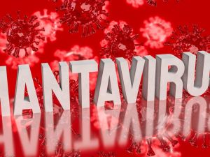 Hantavirus 