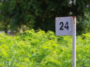 تفسير رقم 24 في المنام للعزباء