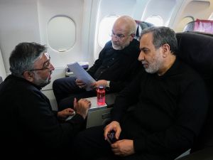 Iran's delegation