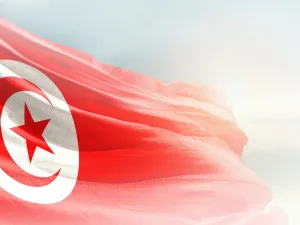  تحويلات التونسيين المخصصة لدراسة أبنائهم في الخارج 