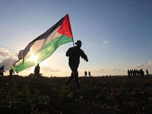 A Palestinian protester carries a national flag during a demonstration near the border between Israel and Khan Yunis in the southern Gaza Strip. (AFP/File)