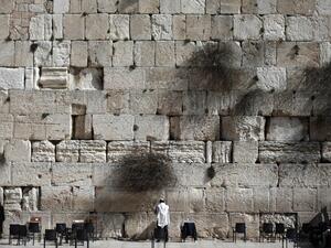 Jewish men pray at the Western Wall, the most holy site where Jews can pray, in Jerusalem's Old City, on February 5, 2016. (AFP/Thomas Coex)
