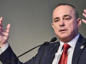 Energy Minister Yuval Steinitz (AFP/File)
