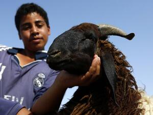 Muslim activists have sparked debate across the region by calling for an end to the killing. (AFP)