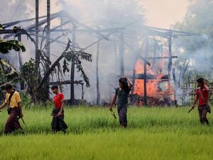 Dozens of villages were burned the same week Myanmar and Bangladesh signed a repatriation agreement for hundreds of thousands of Rohingya (AFP/File)